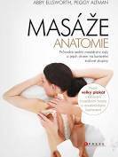 Masáže - anatomie  